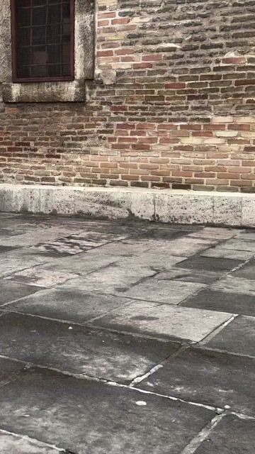 Ürün video küçük görsel